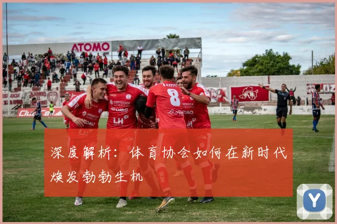 深度解析:体育协会如何在新时代焕发勃勃生机