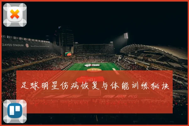 足球明星伤病恢复与体能训练秘诀