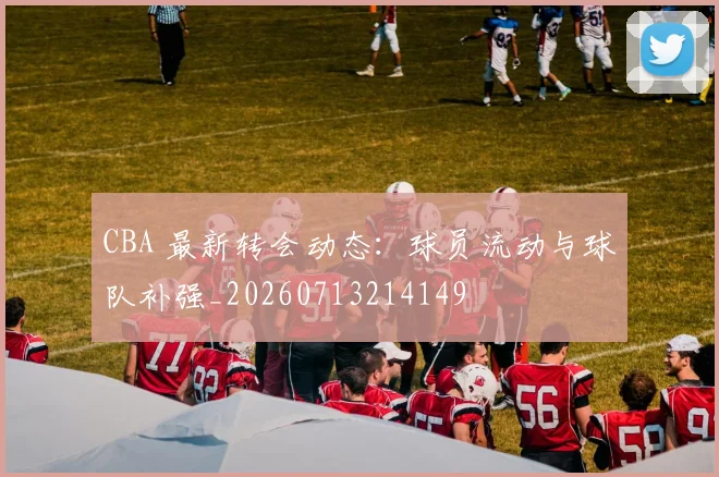 CBA 最新转会动态:球员流动与球队补强_20260713214149