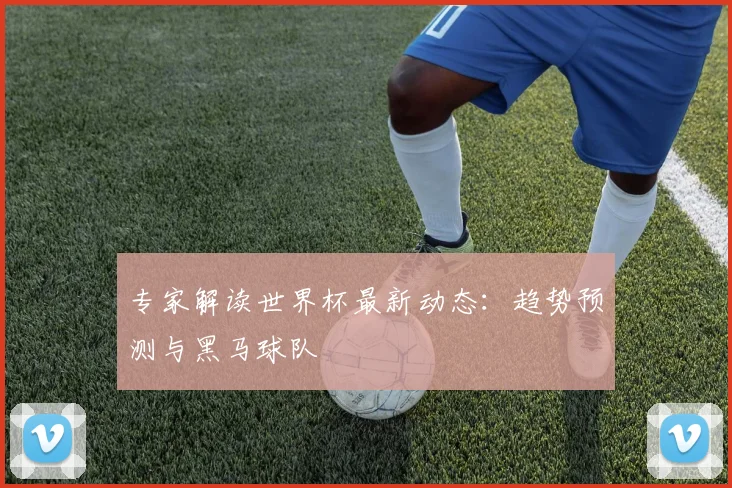 专家解读世界杯最新动态：趋势预测与黑马球队